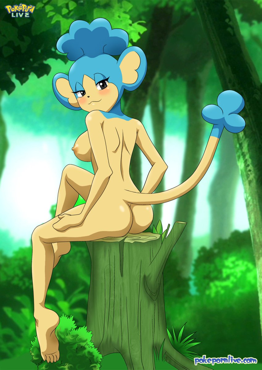 1girls anthro ass back blush breasts female forest game_freak nipples outside panpour pokémon_(species) pokemon pokemon_bw pokepornlive solo tail tree_stump