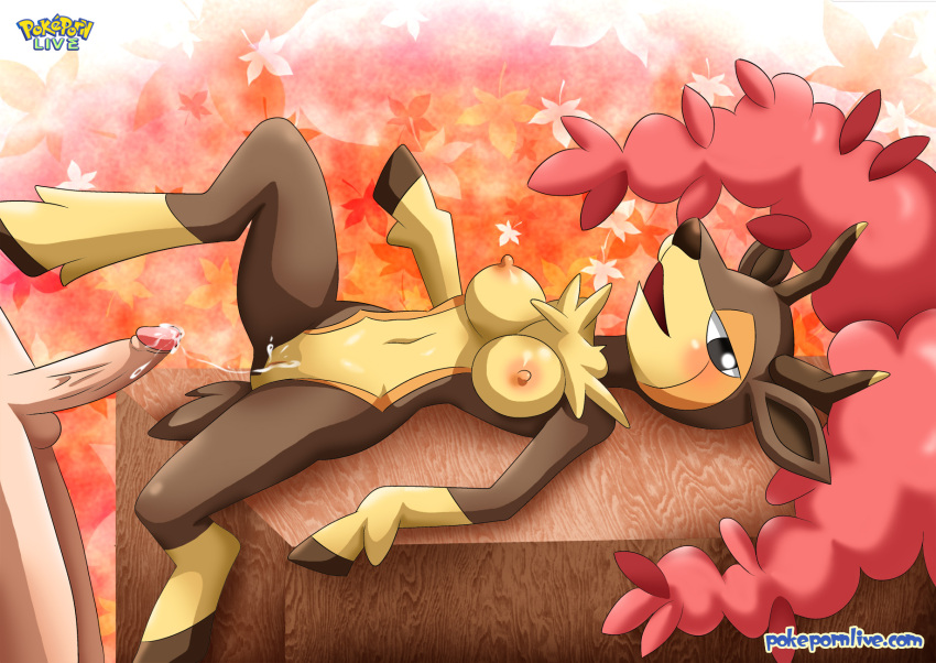 anthro autumn_sawsbuck belly_button breasts cum faceless_male game_freak hooves human_on_anthro nipples open_mouth penis pokémon_(species) pokemon pokemon_bw pokephilia pokepornlive pussy sawsbuck