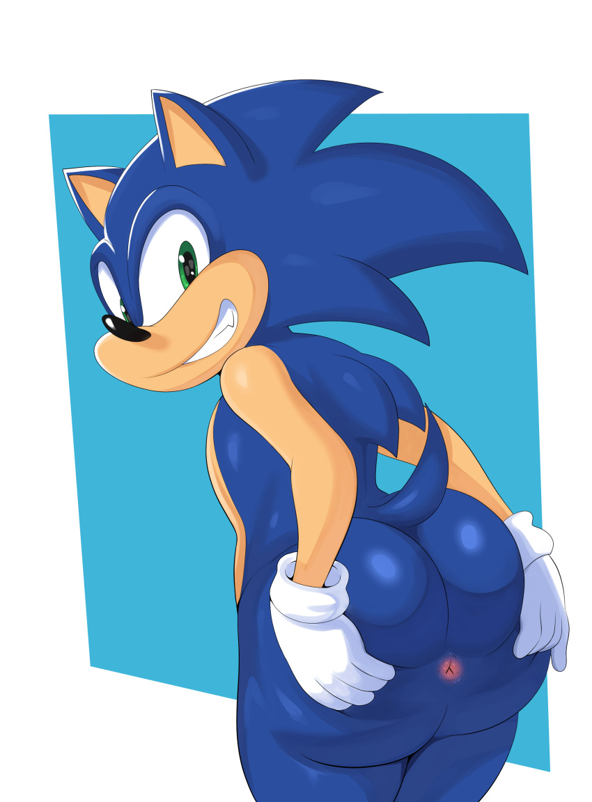 Sonic (Series) Rule 34 Image