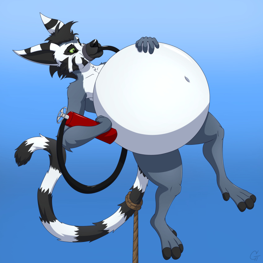 1boy 2021 anthro balloon balloon_transformation belly bloat densjin float gt_grackle helium inflation july lemur male ronya_(densjin)