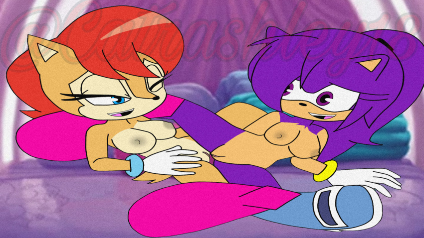 anthro ashley_the_hedgehog blue_eyes breasts brown_fur catrashley18 female female_only interspecies purple_eyes purple_fur pussy red_hair sally_acorn scissoring sonic_(series) toony tribadism yuri