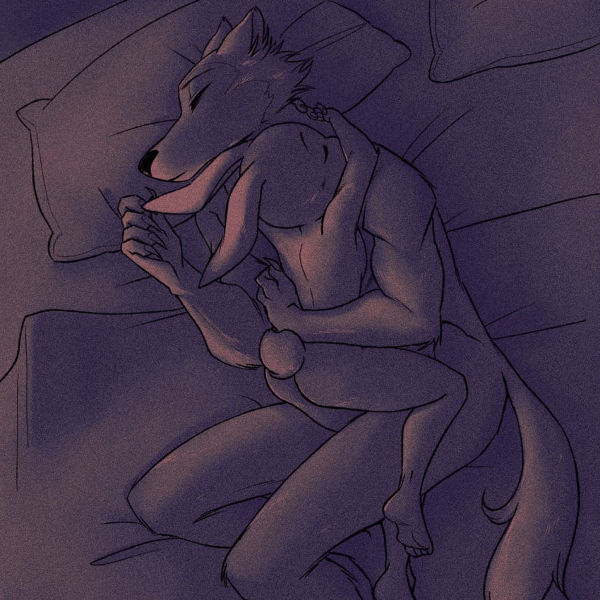 1:1 2021 anthro anthro_on_anthro ass beastars bird's-eye_view breasts canid canine canis cuddling duo english_text female haru_(beastars) hi_res high-angle_view interspecies lagomorph larger_male legoshi_(beastars) leporid lying male male/female mammal nude on_side peteko predator/prey rabbit romantic romantic_couple side_boob size_difference sleeping smaller_female text wolf