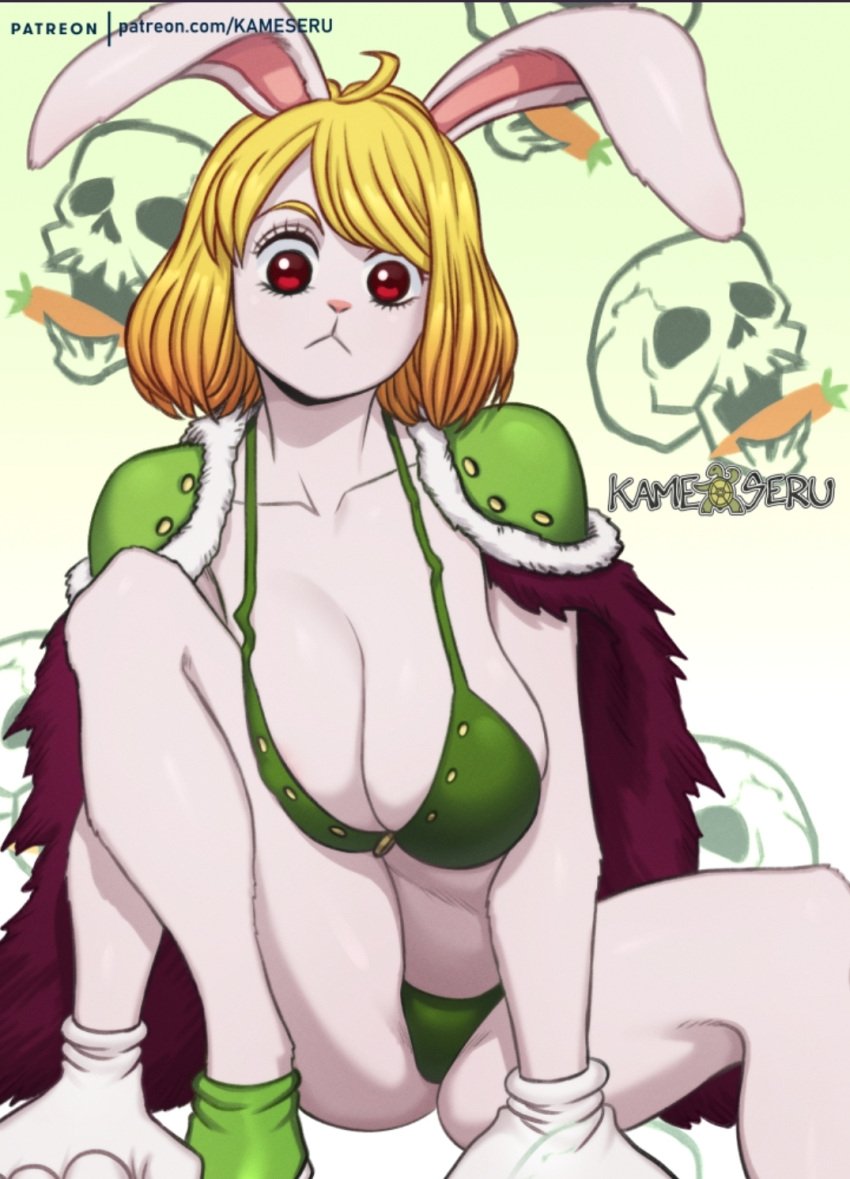 1girls beast_pirates beast_pirates_(cosplay) bikini bikini_uniform bunny bunny_ears bunny_girl carrot_(one_piece) clothed clothed_female female female_only fur furry kameseru lingerie non-nude one_piece solo tagme