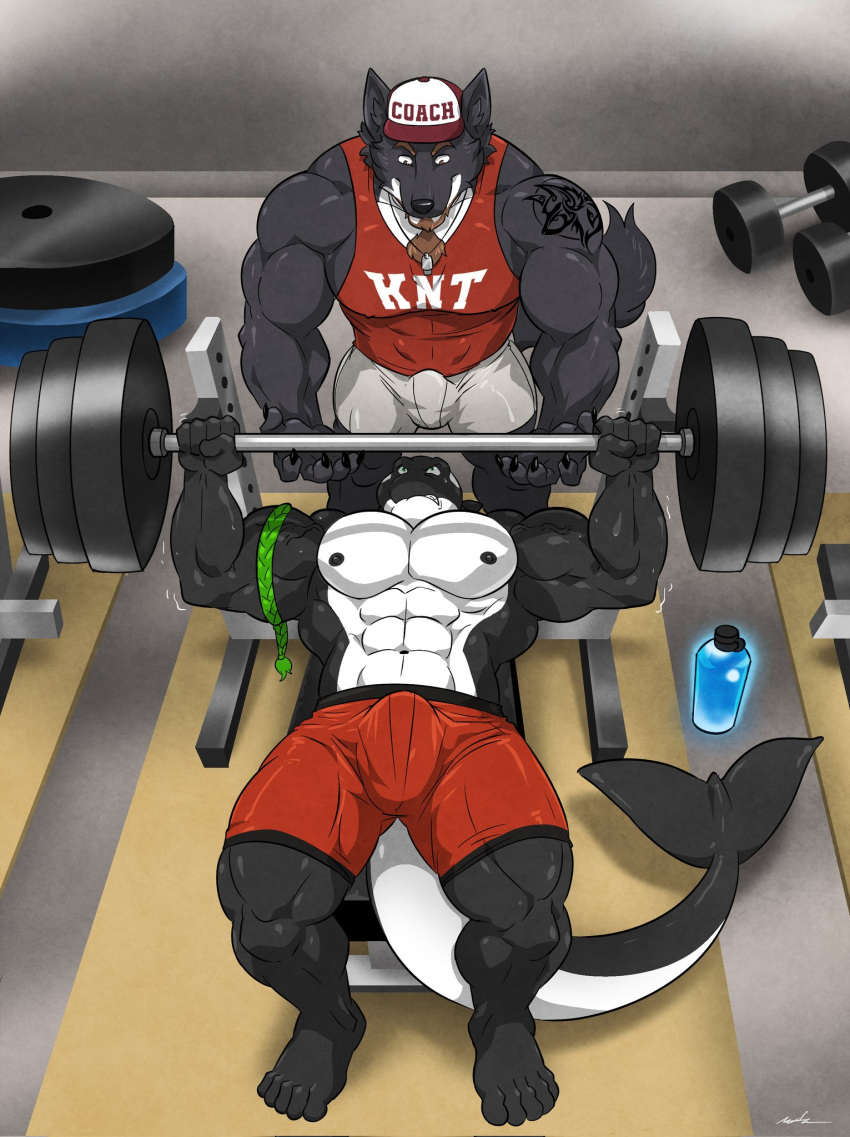 abs bench_press biceps erection_under_clothes furry furry_only growing growth gym hyper hyper_balls hyper_genitalia hyper_muscles hyper_penis hyper_testicles male male_focus male_only muscle muscles muscular muscular_anthro muscular_arms muscular_back muscular_legs muscular_male muscular_thighs nipples penis_growth ripped_clothing ripped_pants veins veiny_penis wfa work_out workout yerkelayh