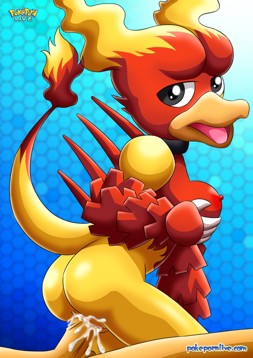 anthro ass black_eyes cum cum_in_pussy cum_inside faceless_male looking_back magmar pokémon_(species) pokemon pokemon_rgby pokepornlive sex tail