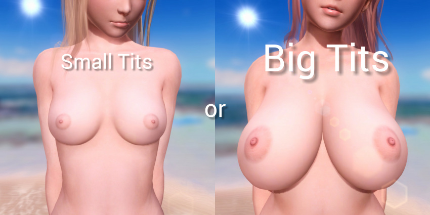 2girls 3d areola asian asian_female beach breasts collage dead_or_alive dead_or_alive_5 doahdm female female_only honoka_(doa) large_breasts marie_rose medium_breasts nipples small_breasts tecmo text topless water