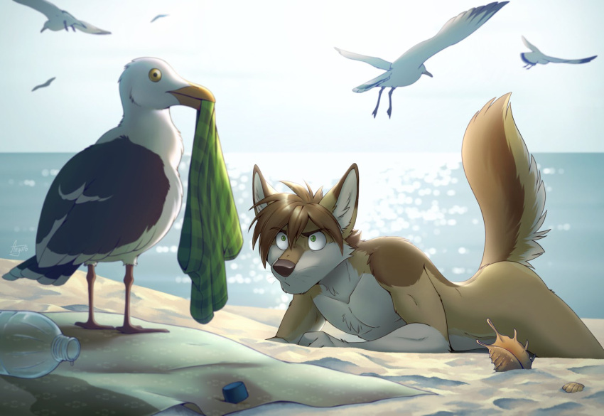 angry anthro bathing_suit beach canine furry male mutt naked nude public public_nudity seagull solo_male summer swimsuit swimwear wagnermutt