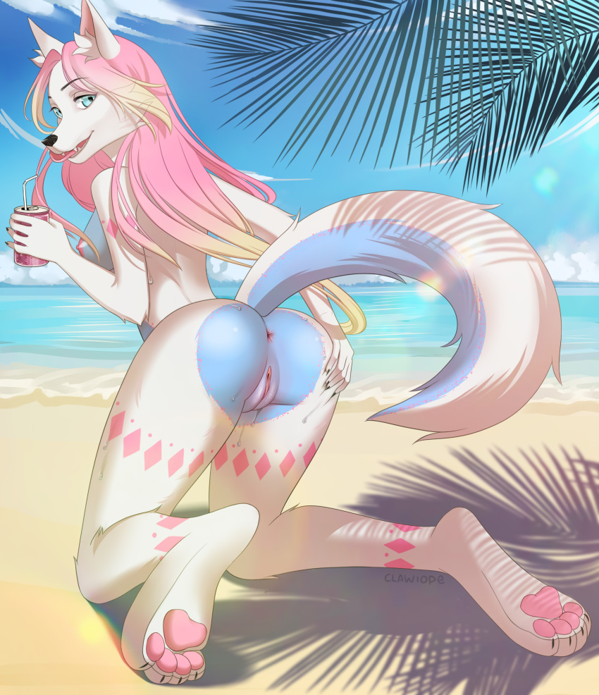 anthro arctic_fox ass beach blonde_hair blue_body blue_eyes blue_fur breasts canid canine clawiope female fox fur genitals grabbing_own_ass hair hand_on_butt hi_res inner_ear_fluff kneeling mammal nipples nude pawpads paws pink_hair presenting pussy sand sanuru_light sea seaside sky solo sweat tongue tuft water wet white_body white_fur