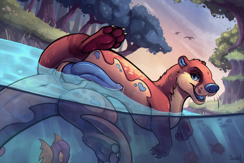 Animal Genitalia Rule 34 Image