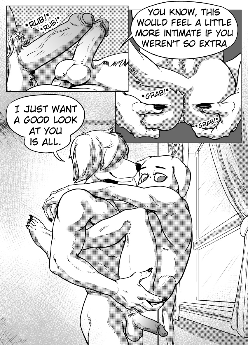 2021 absurd_res anthro anthro_on_anthro ass balls beastars bird_dog butt_grab canid canine canis carrying claws collot_(beastars) comic dialogue domestic_dog duo english_text erection ffog foreskin frottage genitals greyscale hand_on_butt herding_dog hi_res humanoid_genitalia humanoid_penis hunting_dog inside jack_(beastars) labrador looking_at_another male male/male mammal monochrome multiple_scenes nude old_english_sheepdog pastoral_dog penis perineum pubes retracted_foreskin retriever sex sheepdog smile standing text uncut window