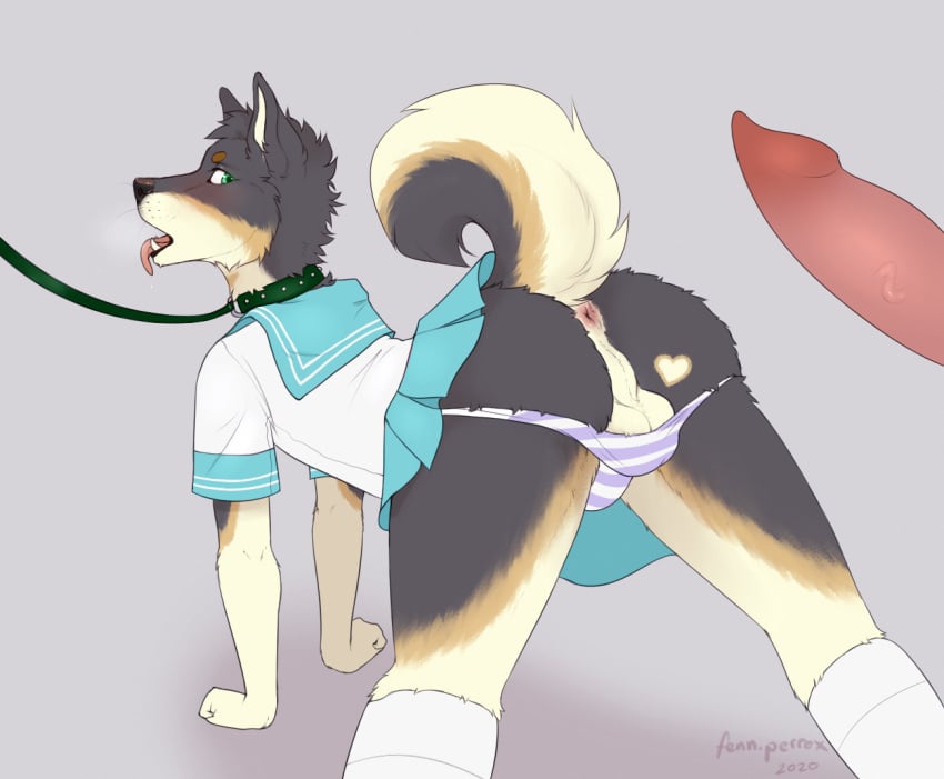 anthro anus ass backsack balls balls_in_underwear bulge canid canine canis chunks_(bestdoggo) clothing collar crossdressing curled_tail disembodied_penis domestic_dog fenn.perrox gay genitals heart_marking leash looking_at_viewer male mammal penis perineum presenting presenting_hindquarters school_uniform shiba_inu solo spitz taint tongue tongue_out uniform vein veiny_penis yaoi