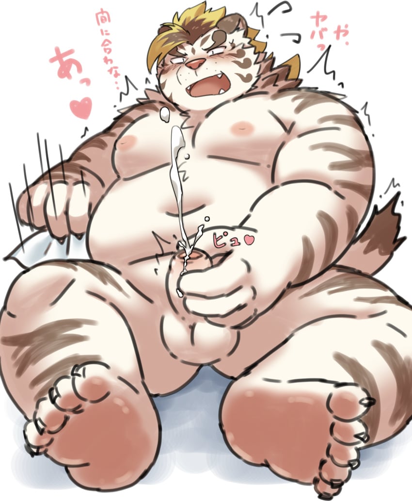 1boy 2021 anthro balls belly blush bodily_fluids cum ejaculation erection felid fur genital_fluids genitals hi_res humanoid_genitalia humanoid_hands humanoid_penis japanese_text kemono licho_(tokyo_afterschool_summoners) male male_only mammal masturbation moobs nipples overweight overweight_male pantherine penis ptcmtr sitting solo text tiger tokyo_afterschool_summoners video_games white_body white_fur