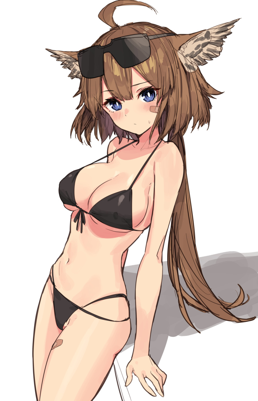 aciddrop_(arknights) ahoge animal_ears arknights bandaid bandaid_on_face bikini black_bikini blue_eyes blush breasts bright_pupils brown_hair cleavage cowboy_shot eyewear_on_head female front-tie_bikini front-tie_top highres large_breasts leaning_back long_hair looking_at_viewer low_ponytail multi-strapped_bikini navel sigm@ simple_background solo strap_gap sweatdrop swimsuit visor white_background white_pupils