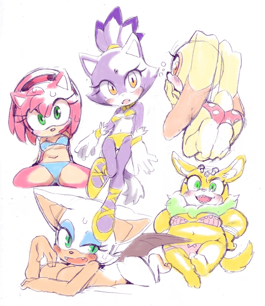 amy_rose blaze_the_cat cream_the_rabbit rouge_the_bat sonic_(series) sonic_oc sonic_the_hedgehog_(series) thunderbolt_the_chinchilla