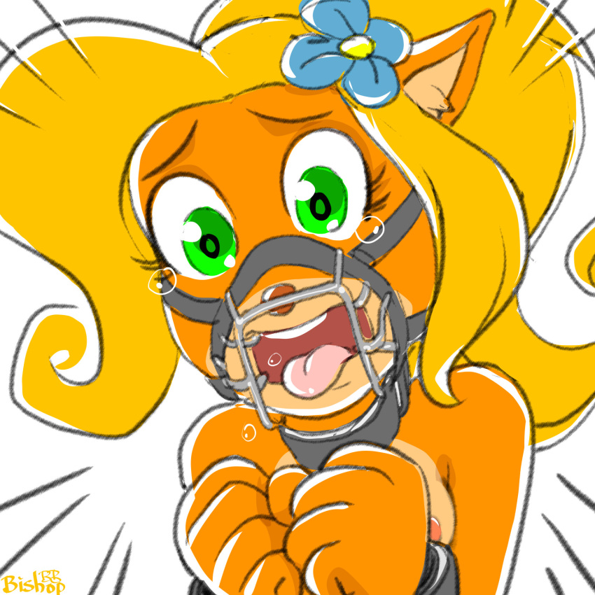 1girls anthro bishopbb bondage breasts coco_bandicoot collar crash_(series) crying cuffs female femsub gag harness_gag nude open_mouth_gag restrained solo tied_up wrist_cuffs