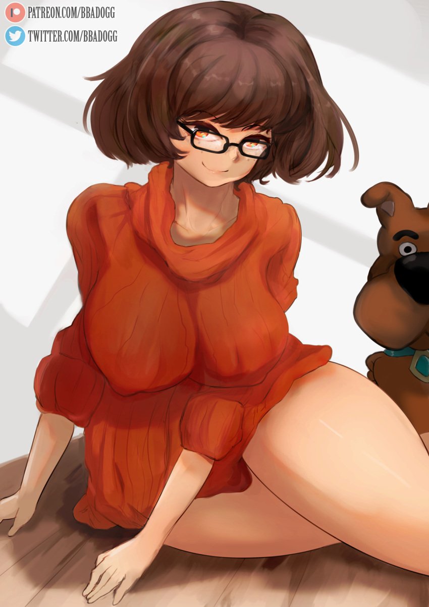 artist_logo background bbadogg big_breasts big_hips brown_hair canine clothed clothing crossed_legs dark_hair dog dog_ears dog_girl doggy domestic_dog eyebrows female female_focus floor freckles glasses hanna-barbera large_hips light-skinned_female light_skin looking_at_viewer male mammal orange_eyes scooby-doo scooby-doo_(character) scrappy-doo short_hair sitting smile smiling_at_viewer sweater text thick_thighs velma_dinkley wearing_glasses young