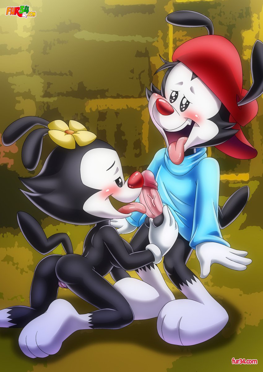 1boy 1girls animaniacs anthro ass balls bbmbbf blush breasts brother brother_and_sister dot_warner female fur34 incest licking licking_penis male male/female nude open_mouth oral oral_sex palcomix penis pussy sex siblings sister teeth tongue tongue_out wakko_warner warner_brothers