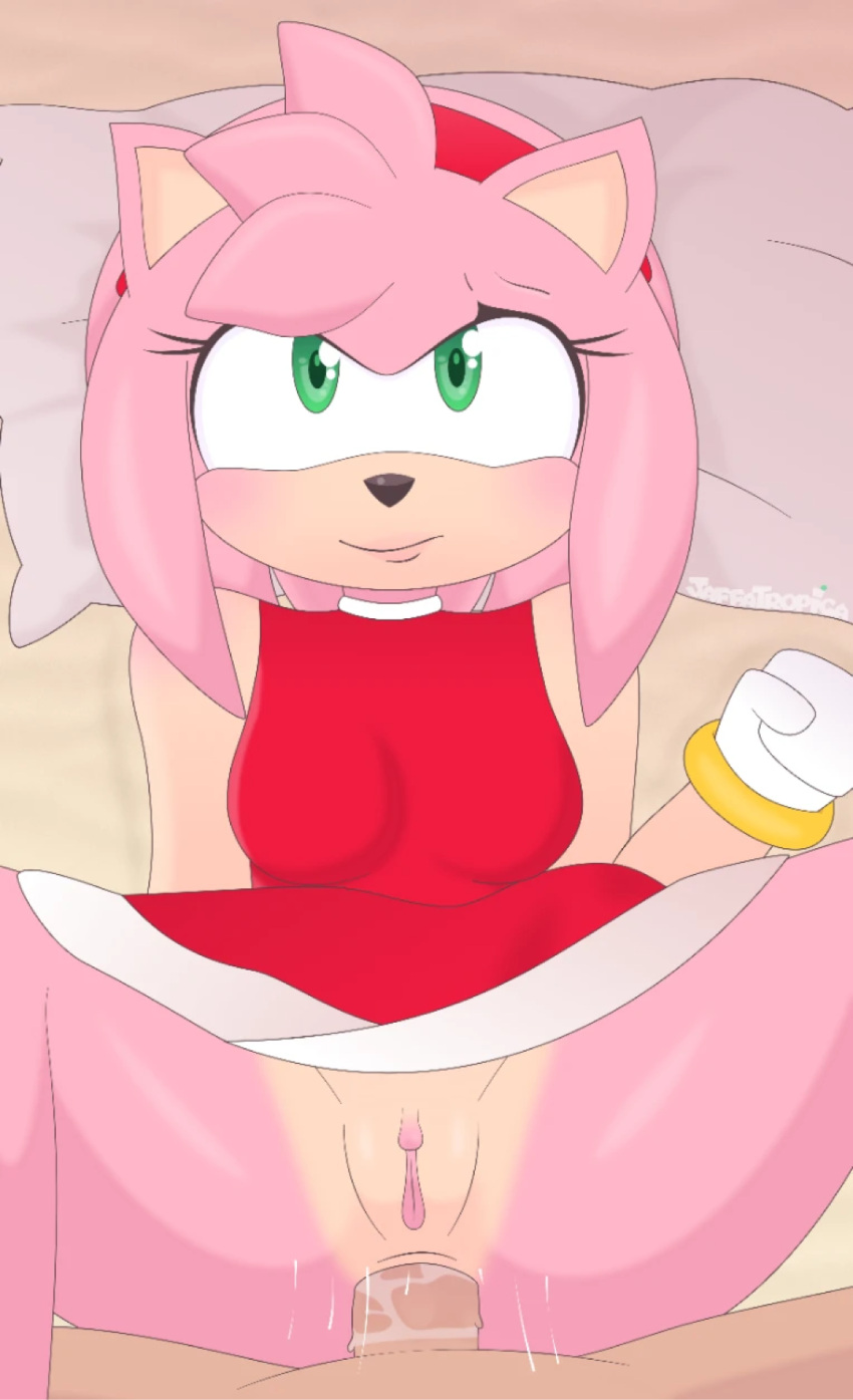 Sonic (Series) Rule 34 Image