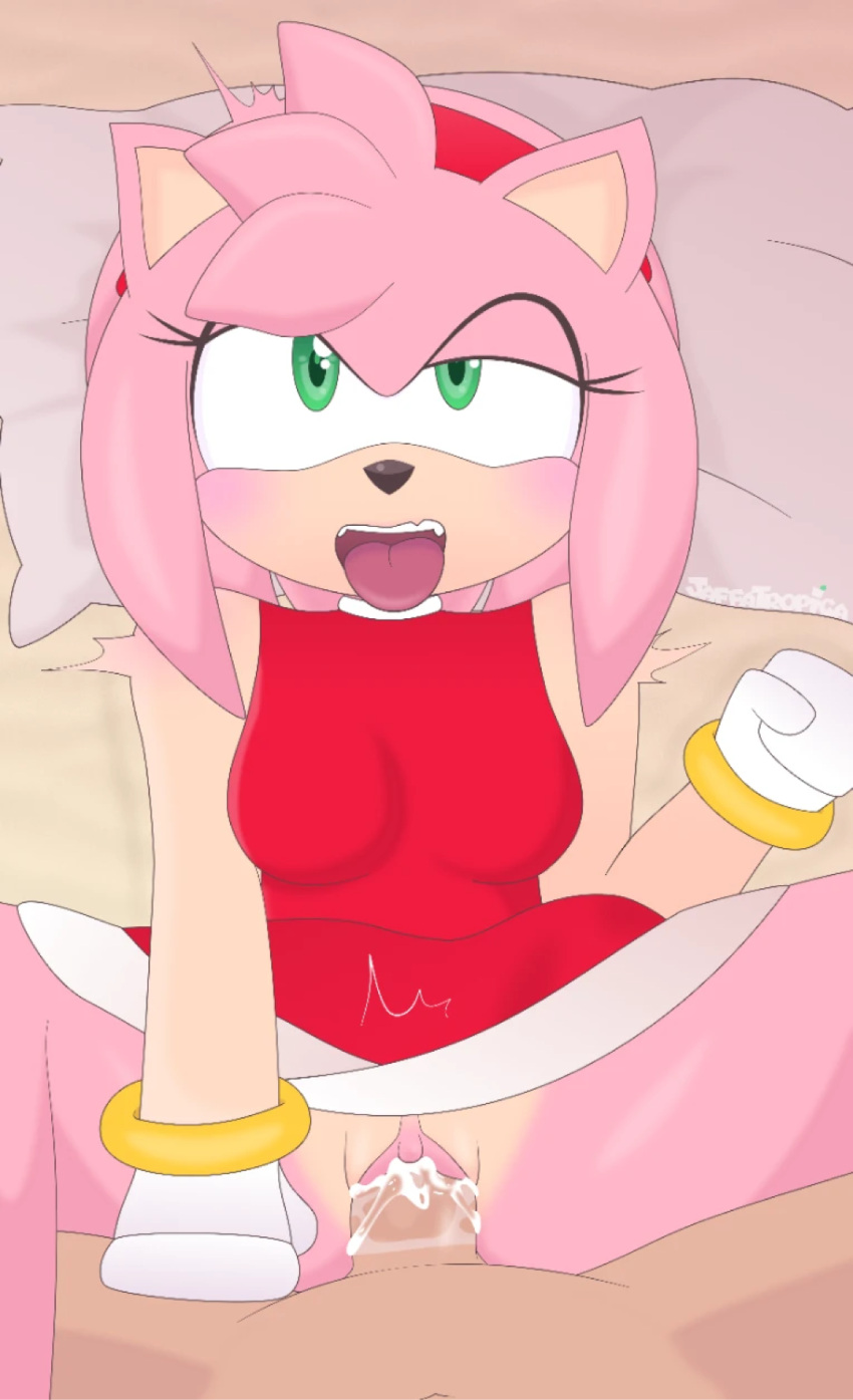 Sonic (Series) Rule 34 Image