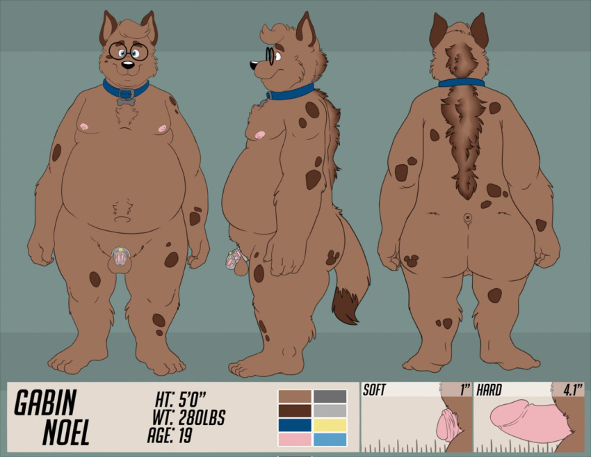 2018 anthro balls belly bravo brown_body brown_fur chastity_cage chastity_device collar eyewear flaccid fur genitals glasses hyaenid male mammal model_sheet moobs nipples overweight overweight_male penis small_penis solo