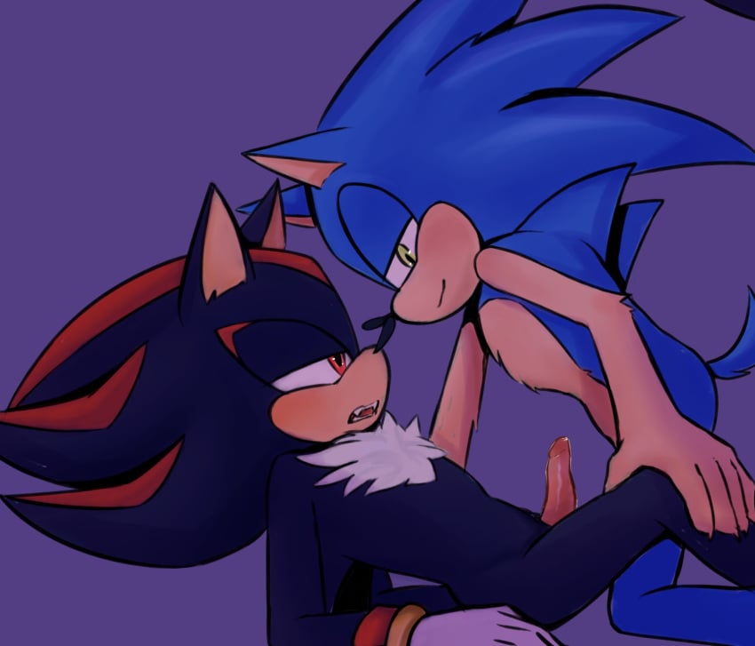 anthro blush duo eulipotyphlan genitals green_eyes hedgehog hi_res hottopicpiss male male/male mammal penis red_eyes sega shadow_the_hedgehog sonadow sonic_(series) sonic_the_hedgehog sonic_the_hedgehog_(series)