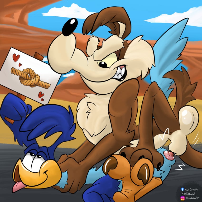 Road Runner (Looney Tunes) Rule 34 Image