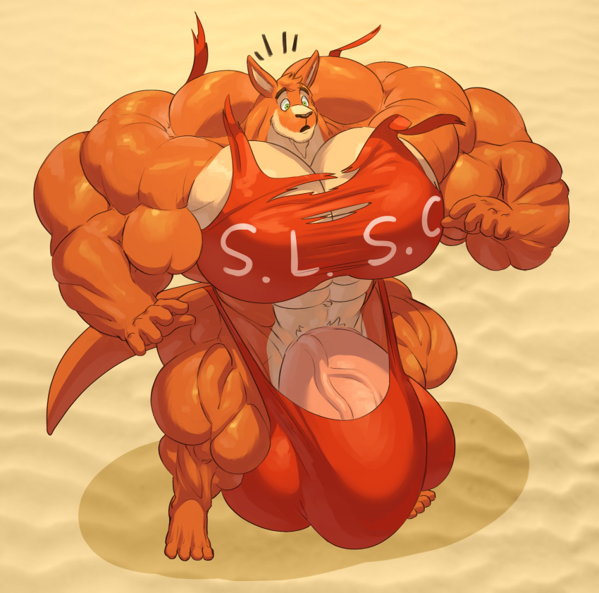 Abs Rule 34 Image