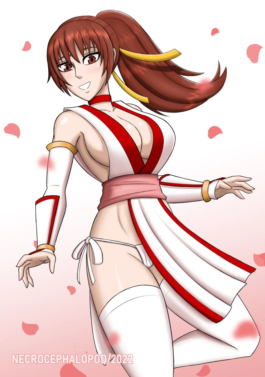 1girls brown_eyes brown_hair choker cleavage cleavage_cutout fatal_fury female king_of_fighters mai_shiranui necrocephalopod panties ponytail red_choker snk solo_female tagme thighhighs underwear white_thighhighs