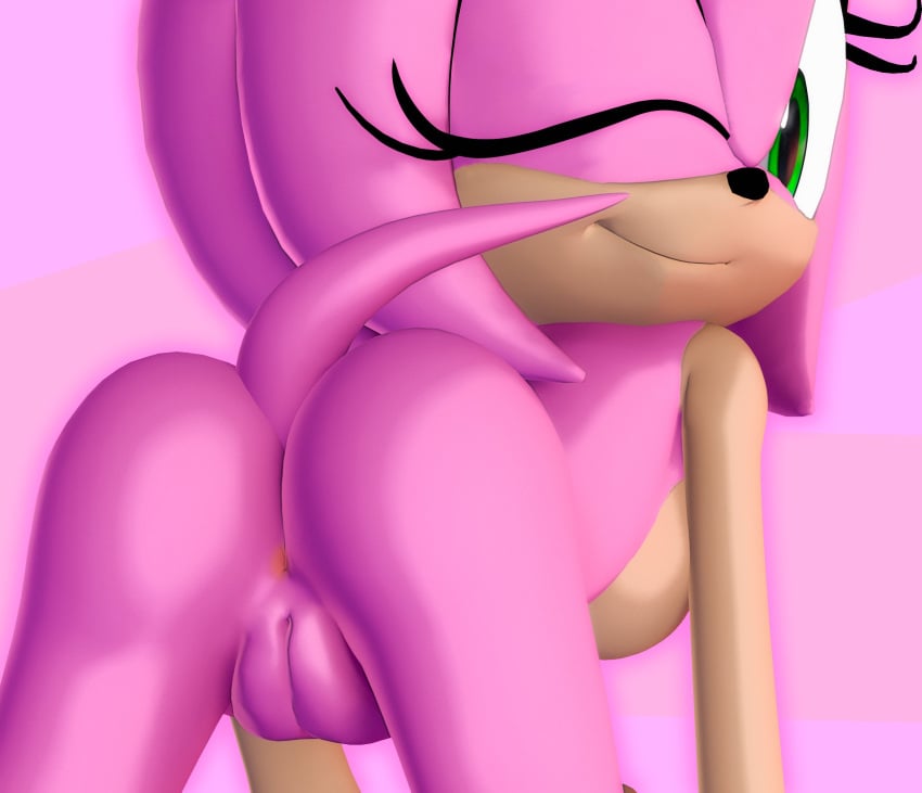 1girls 3d amy_rose anthro anus furry green_eyes looking_at_viewer pink_fur pussy rarequinez sega solo solo_female sonic_(series) sonic_the_hedgehog_(series) vagina wink