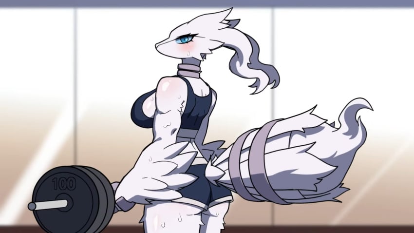 barbell buff fur gym hakkimanime large_breasts large_thighs muscles muscular muscular_anthro muscular_arms muscular_female pokemon pokemon_(species) reshiram short_shorts sports_bra sportswear sweat sweatdrop sweating sweaty sweaty_body sweaty_breasts working_out