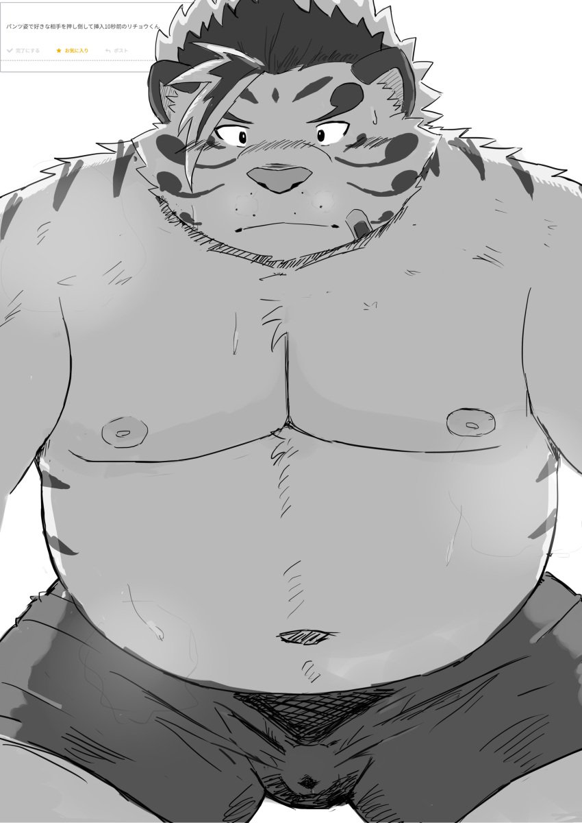 1boy 2024 9dtq0 absurd_res anthro band-aid bandage belly big_belly bulge clothing felid hi_res kemono licho_(tas) lifewonders male male_only mammal navel nipples overweight overweight_male pantherine simple_background solo tiger tokyo_afterschool_summoners underwear