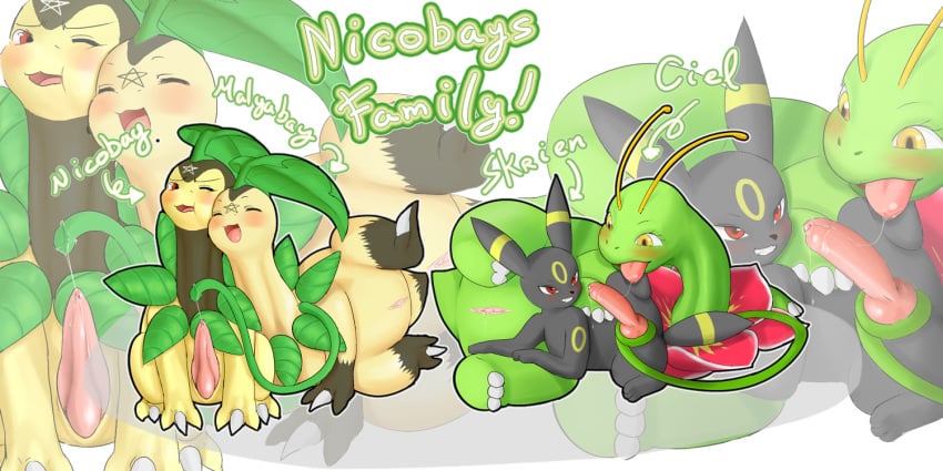 bayleef eeveelution furry meganium nintendo pokémon_(species) pokemon pokemon_(species) shiroisora umbreon