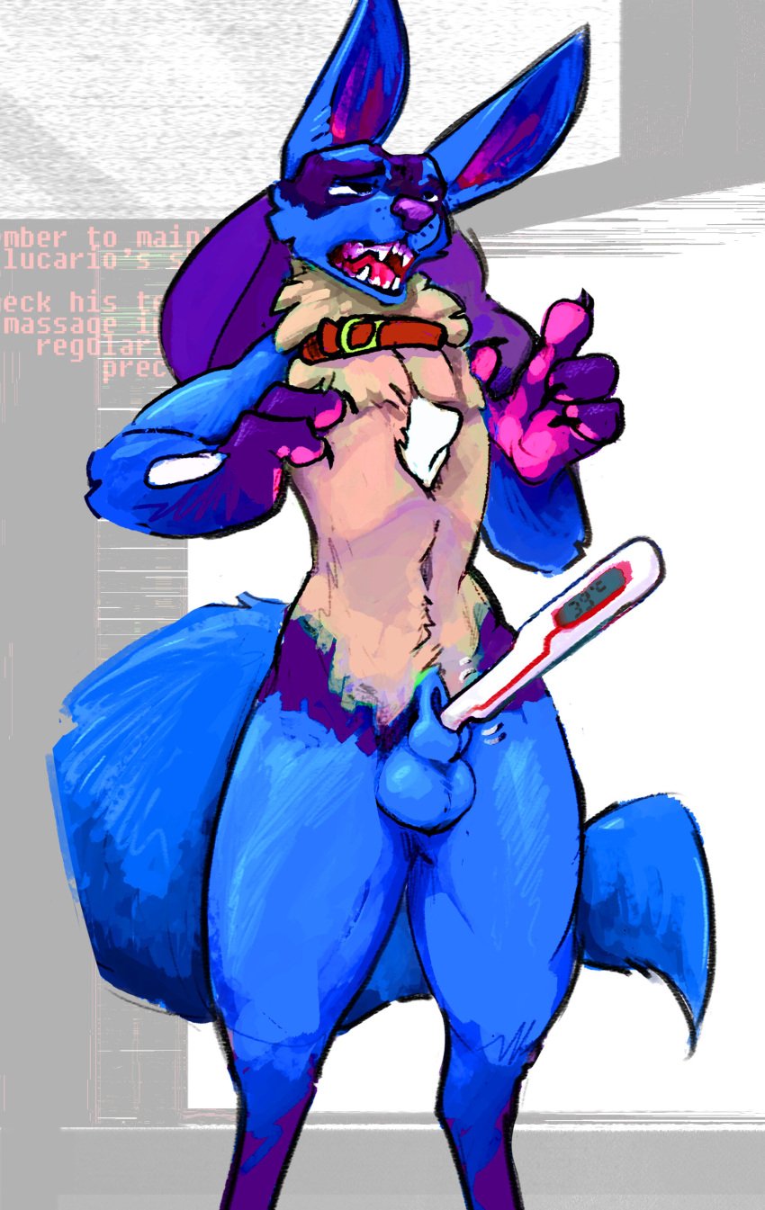 1boy abstract_background absurd_res animal_genitalia anthro balls blue_body blue_fur collar fluffy fluffy_tail fur genitals hi_res looking_pleasured lucario male male_only mindkog nintendo open_mouth pawpads pink_pawpads pokemon pokemon_(species) scientific_instrument sheath sheath_penetration sheath_play solo thermometer video_games weather_instrument yellow_body yellow_fur