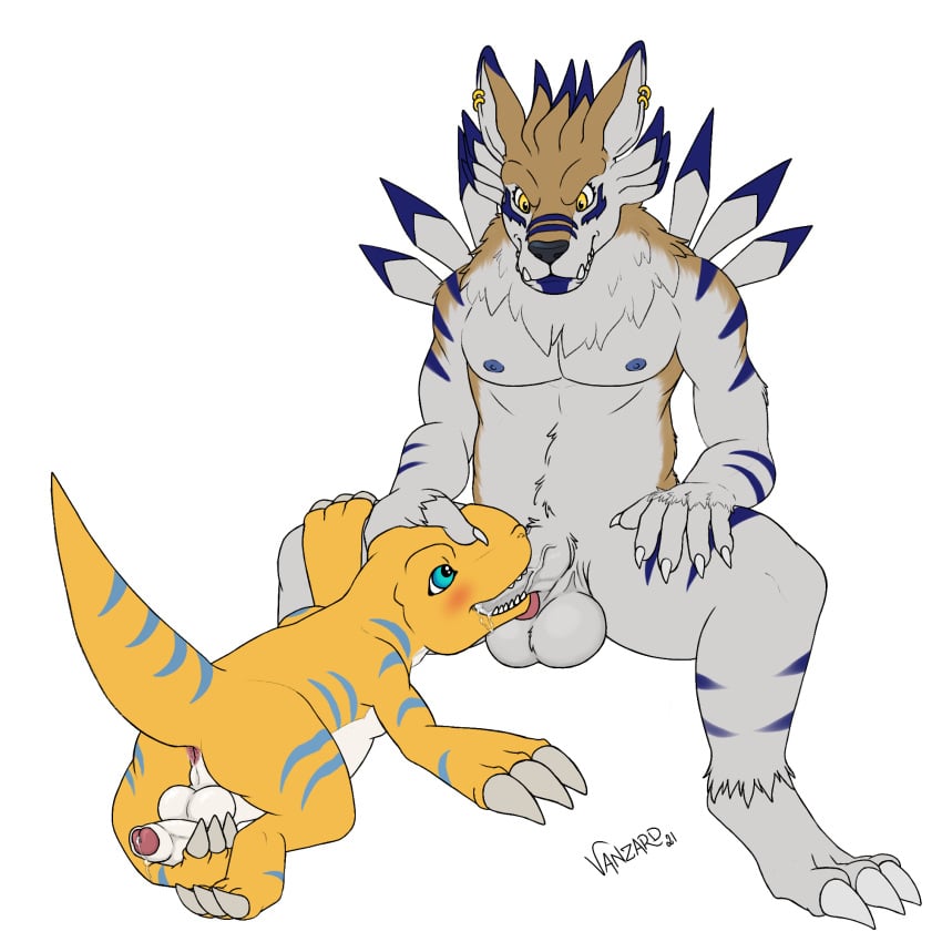 1:1 agumon_x anthro autofootjob balls bandai_namco big_balls big_dom_small_sub blue_eyes blush bodily_fluids canid canine digimon digimon_(species) dominant duo fan_character fellatio foot_fetish foot_play gay genital_fluids genitals hi_res humanoid_genitalia humanoid_penis male male/male male_only mammal masturbation nipples oral penile penile_masturbation penis piercing precum sex size_difference stripes vanzard vein weregarurumon yaoi yellow_eyes