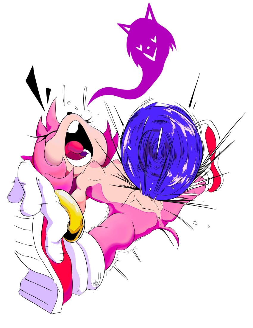 Amy Rose (Sonic (Series)) Rule 34 Image