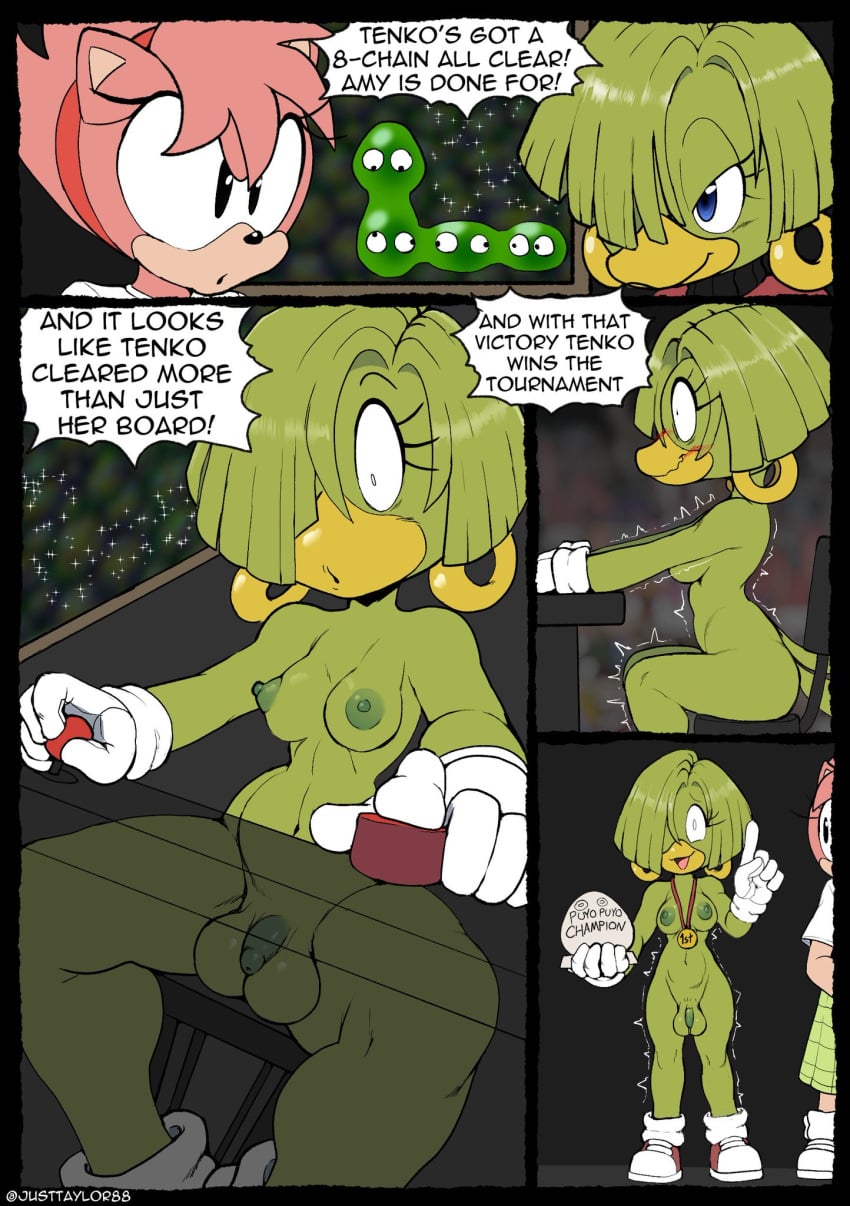 Amy Rose (Puyo Puyo) Rule 34 Image