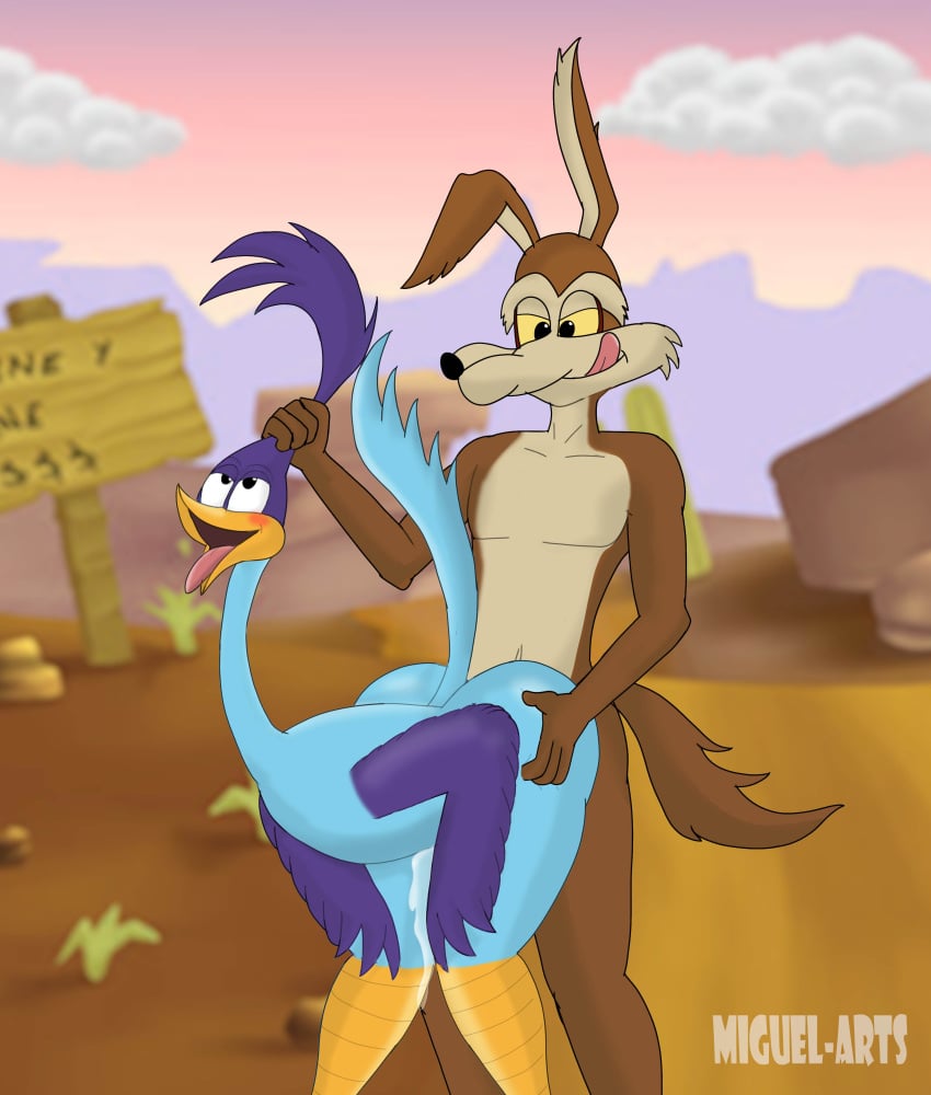Road Runner (Looney Tunes) Rule 34 Image