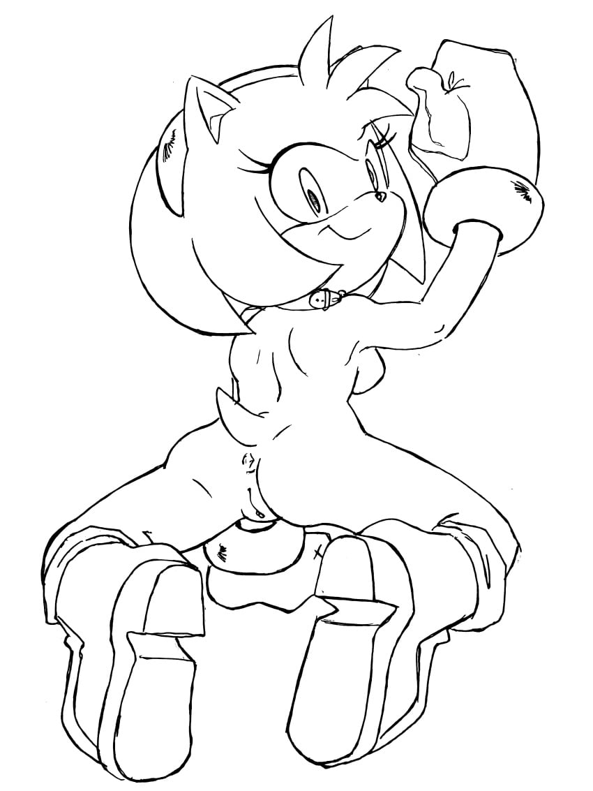 Amy Rose (Sega) Rule 34 Image