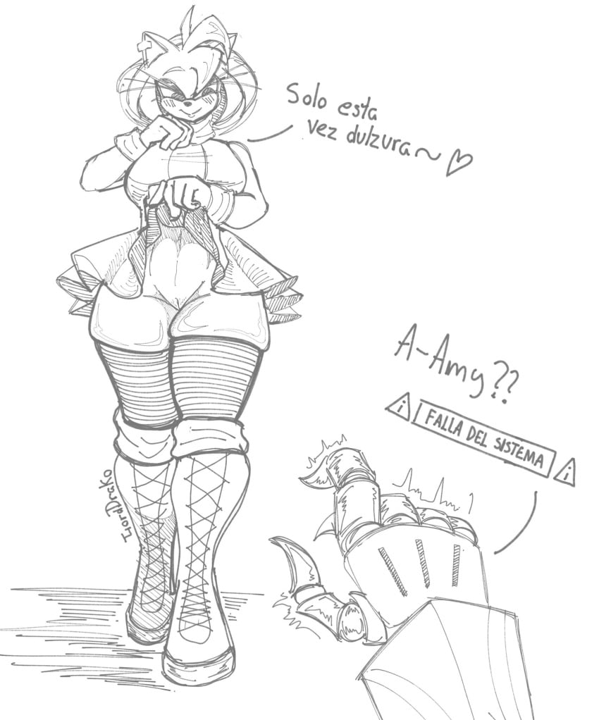 Amy Rose (Sega) Rule 34 Image