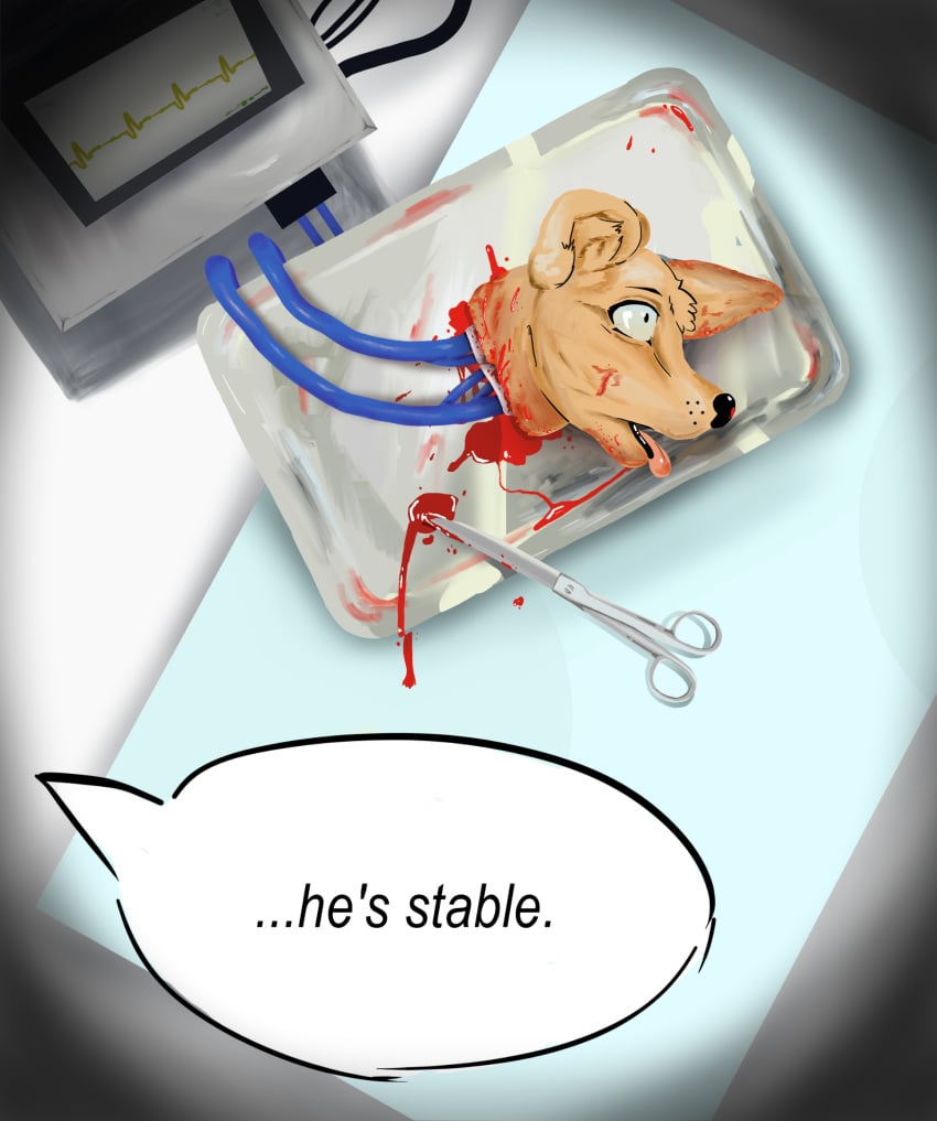 Anthro Rule 34 Image