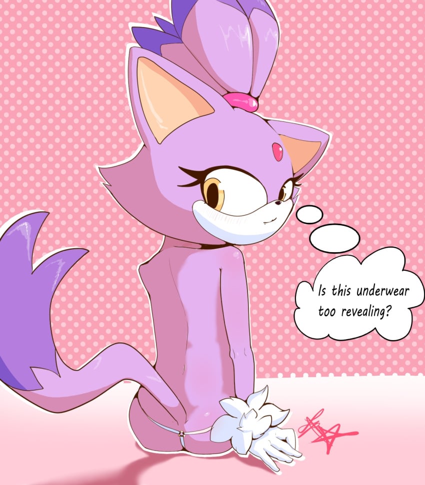 Blaze The Cat (Sega) Rule 34 Image