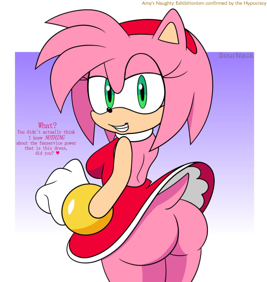 Amy Rose (Sega) Rule 34 Image