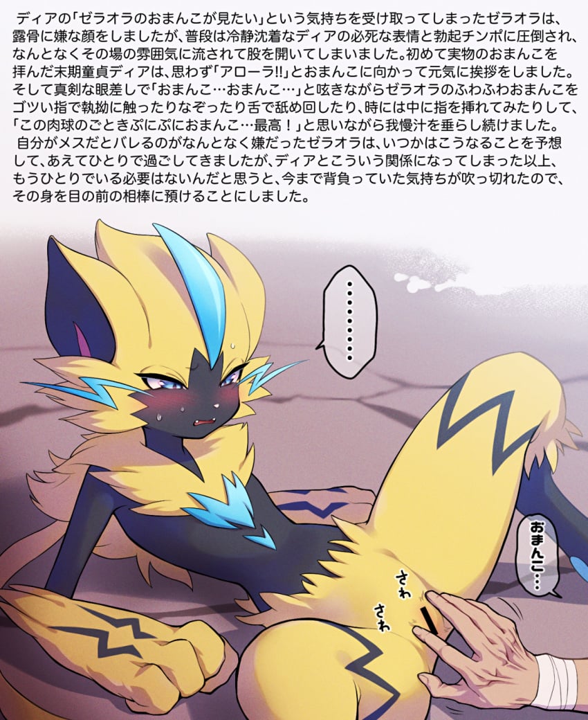 ambiguous_gender anthro blush censored felid female female/ambiguous fur genitals hi_res human human_on_anthro interspecies japanese_text legendary_pokémon mammal nintendo pokémon_(species) poképhilia pokemon pussy shin_mare text translation_request video_games yellow_body yellow_fur zeraora