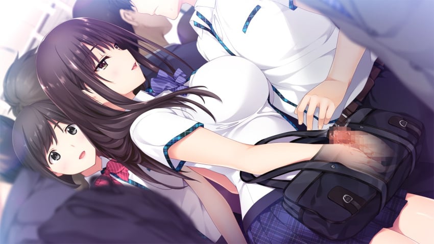 16:9_aspect_ratio 1boy 2girls bag big_sister black_hair blush breasts brother brother_and_sister brown_eyes brown_hair censored cg_art chikan female game_cg hetero iizuki_tasuku incest kisaragi_maaya large_breasts little_brother long_hair looking_at_viewer male multiple_girls older_female older_sister onee-chan_no_yuuwaku open_mouth precum public public_sex purple_hair ribbon school_bag school_uniform sex siblings sister skirt smile someone_can_see stealth_handjob stealth_sex straight sweat tekoki train uniform x-ray younger_brother younger_male