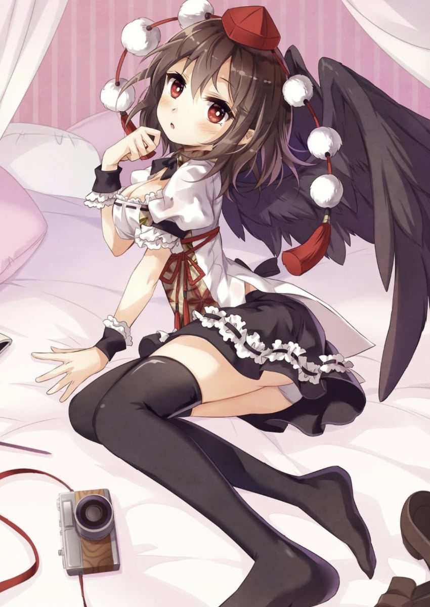 Aya Shameimaru Rule 34 Image