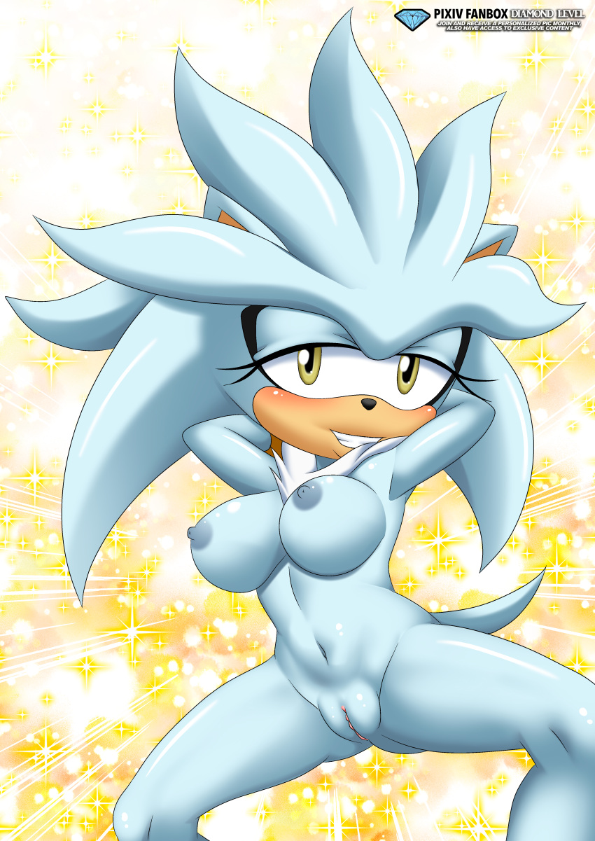 Silver The Hedgehog (Sega) Rule 34 Image