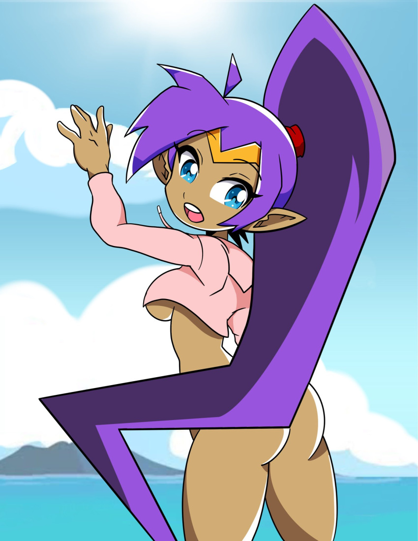 1girls accurate_art_style ass bottomless breasts datwondoude female female_only no_bra no_panties shantae shantae_(character) solo sweater tagme