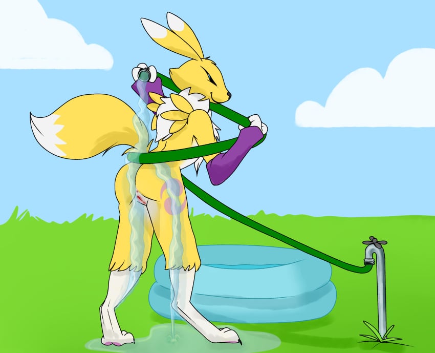 anthro bandai_namco cloud digimon digimon_(species) female fur genitals grass hi_res hose kiddie_pool plant presenting presenting_pussy puddle pussy raised_tail renamon rinsing sillydraco sky solo water wet wet_body wet_fur wrapped_up