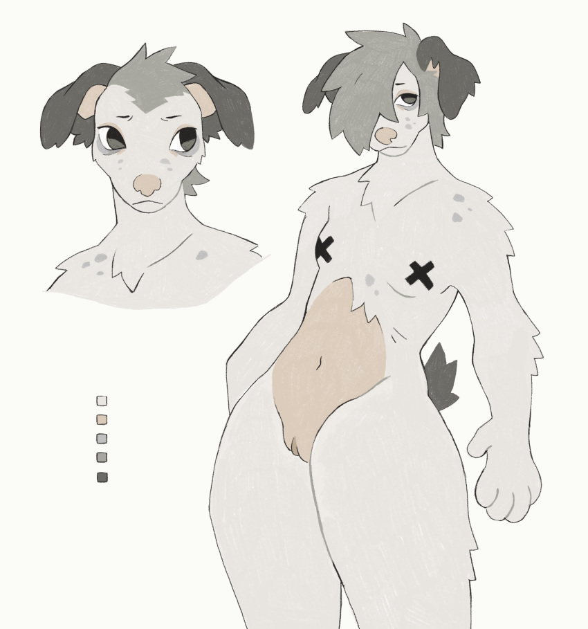 2023 absurd_res alternate_hairstyle andromorph anthro bangs belly black_eyes brown_ears brown_tail button_ears canid canine canis clitoris color_swatch cuntboy domestic_dog floppy_ears genitals grey_ears grey_hair grey_spots hair hair_over_eye handpaw hi_res intersex looking_aside mammal micerunt model_sheet navel one_eye_obstructed paws pink_belly pink_inner_ear pink_nose portrait pup_(micerunt) pussy simple_background solo spots standing tail three-quarter_portrait white_background x_nipples yakpup