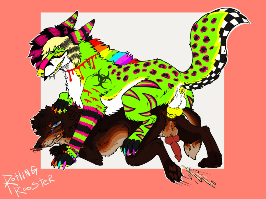 Rooster (Rottingxrooster) Rule 34 Image